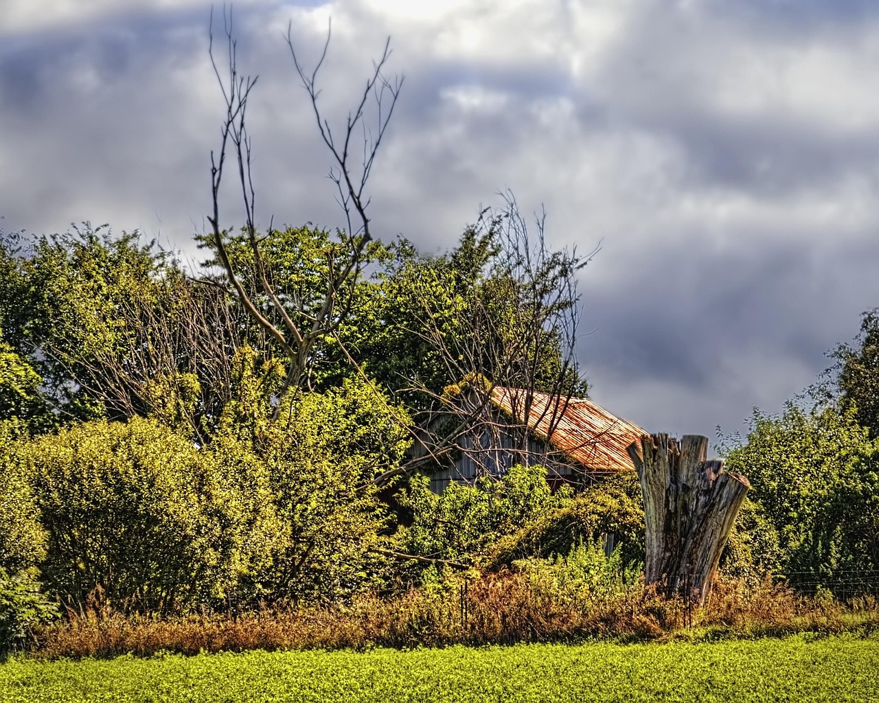 Barn - free online jigsaw puzzle photo