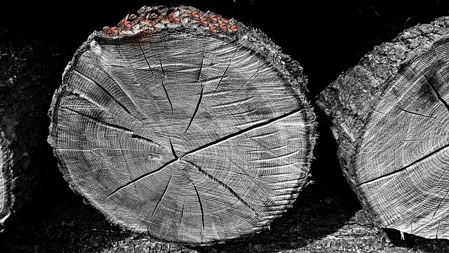 Wood Bale Clipping - Free photo on Pixabay