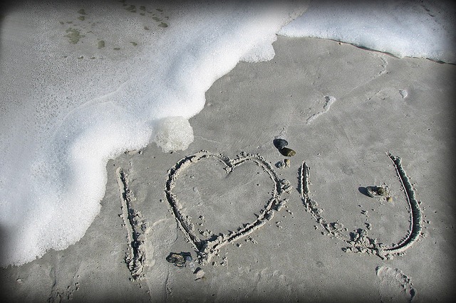 Free Beach Love photo and picture