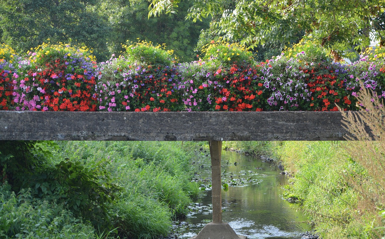 Pont Fleuri Rivière Le Guyoult Dol Photo gratuite sur Pixabay