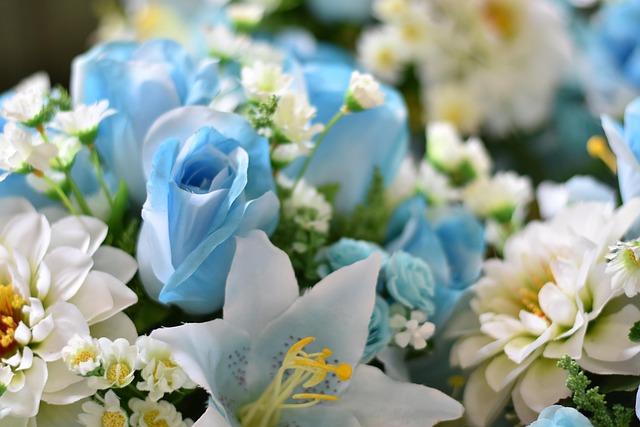 Flower, พื้นหลังดอกไม้, Daisy, ดอกไม้สวย
