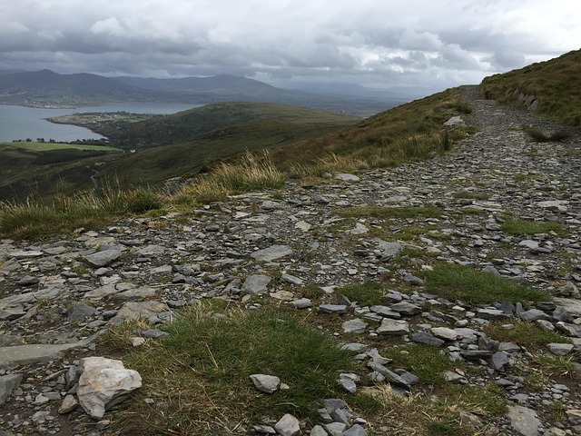 Free Path Pebbles photo and picture