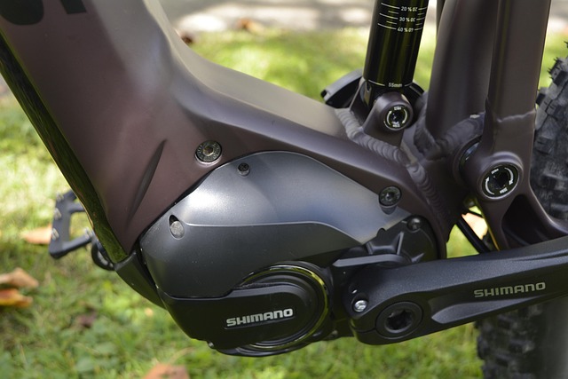 Free Shimano Emtb photo and picture