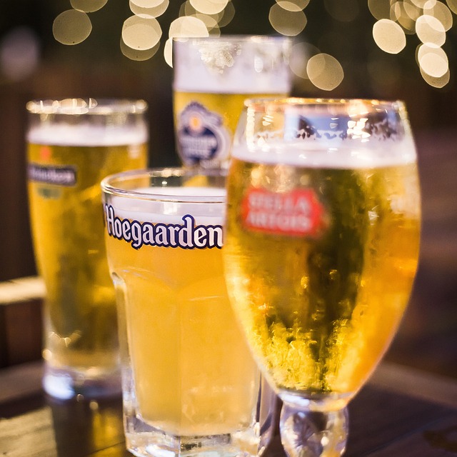 Free Beer Drink photo and picture