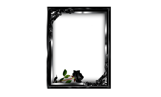 Rahmen, Schwarze Rose, Bild Design, Saum