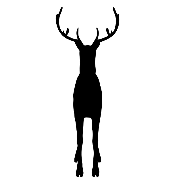 Download free HD stock image of Reindeer Animal Free reindeer animal wild vector