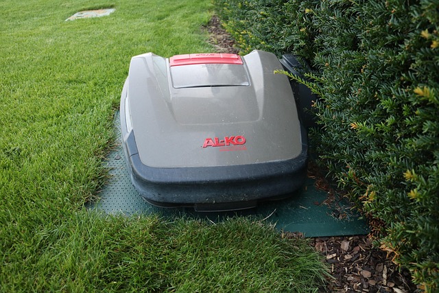 Free Robotic Lawnmower Lawn Robot photo and picture