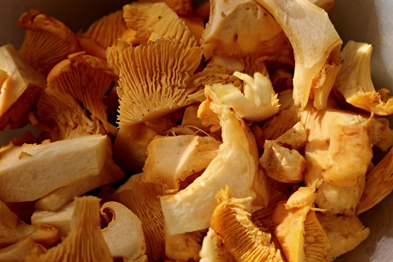 蘑菇要怎么处理得干净 chanterelles-2690531_1280.jpg