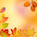 autumn, leaves, colorful