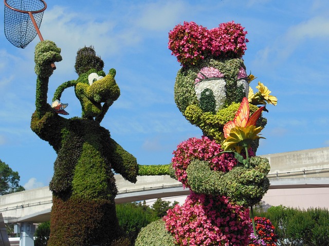 Free Disney Orlando photo and picture