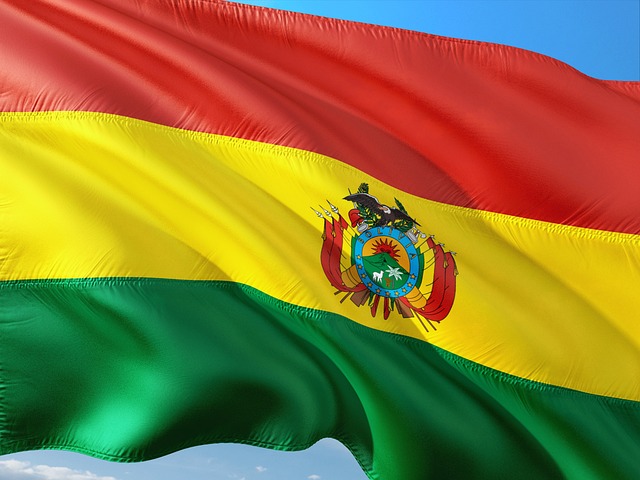 Disturbios en la Paz en masiva marcha contra el gobierno de Bolivia