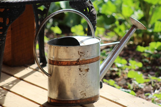 Free Watering Can Garden photo and picture