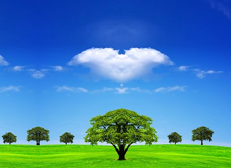 Umgebung, Landschaft, Himmel, Tag