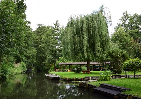 Free Forest Spreewald photo and picture