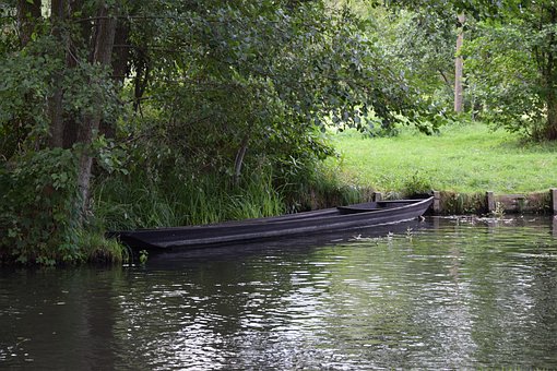 Free Boat Forest photo and picture
