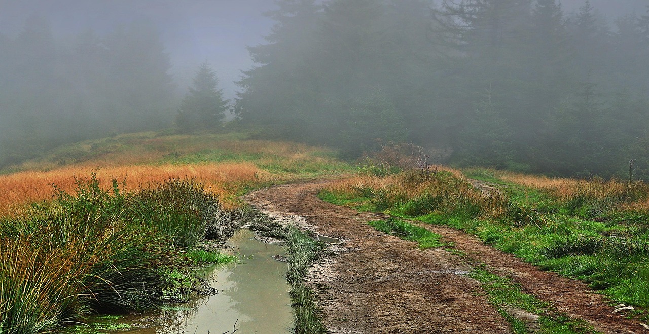 The Fog Mountains Path - Free photo on Pixabay