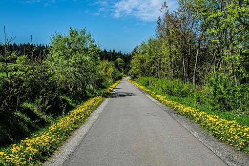 Diente De León, La Carretera, Rhön