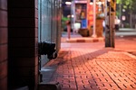 street, in the city, chaos