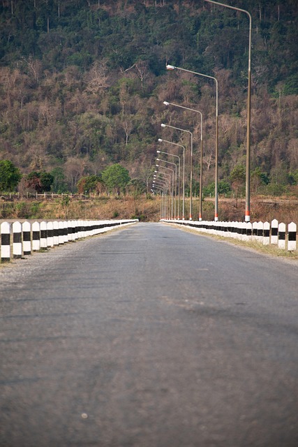 Free Road View photo and picture