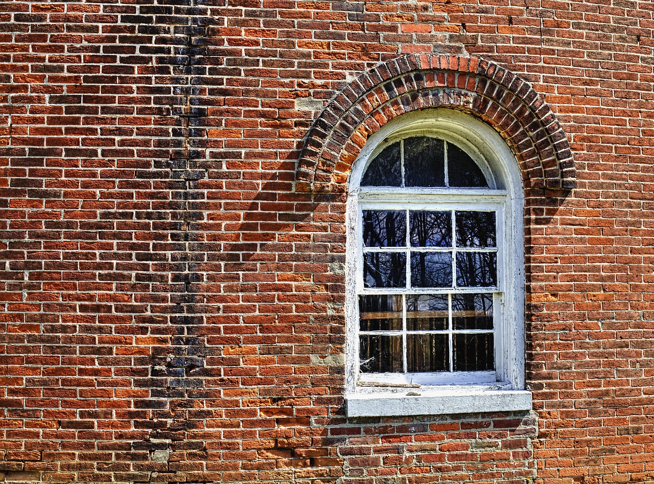 Nutwood - free online jigsaw puzzle photo