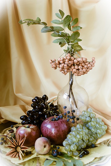 Free Still Life Grape photo and picture