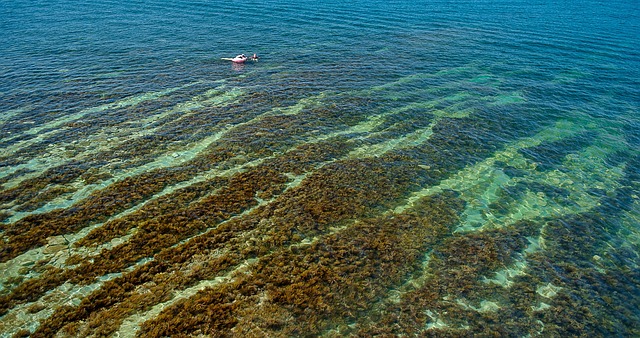 Free Sea Water photo and picture