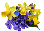 spring, flowers, cut