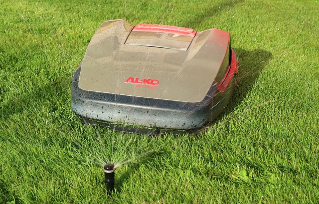 Free Robotic Lawnmower Cut The Lawn photo and picture