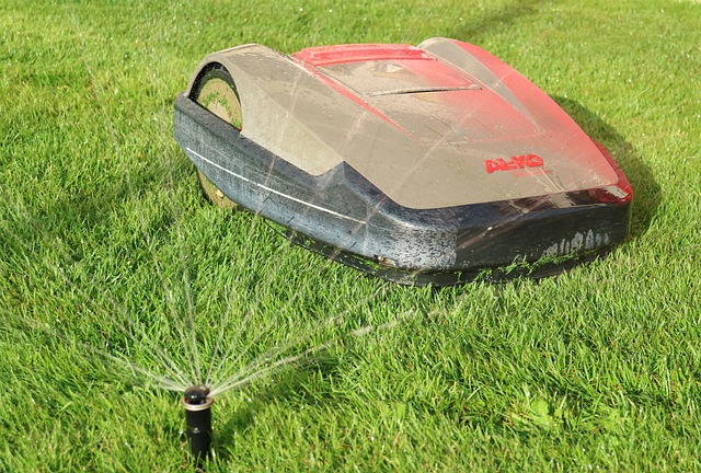 Free Robotic Lawnmower Cut The Lawn photo and picture