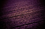 field, acreage, abstract