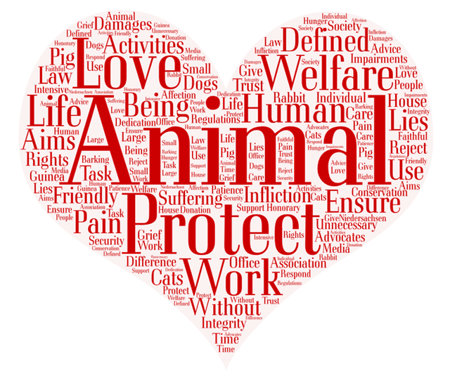 Free word cloud donation animal welfare illustration