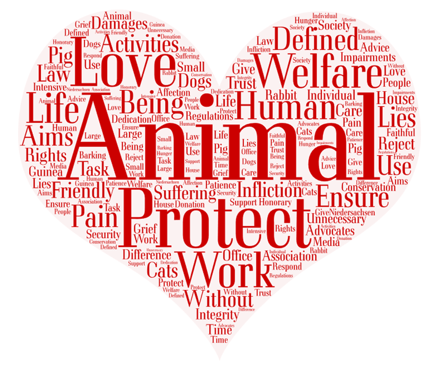 Word Cloud Donation Animal Welfare Help Home Word Cloud Donation Animal Welfare Help Home