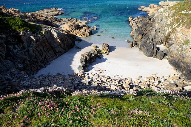 Free Beach Sea photo and picture