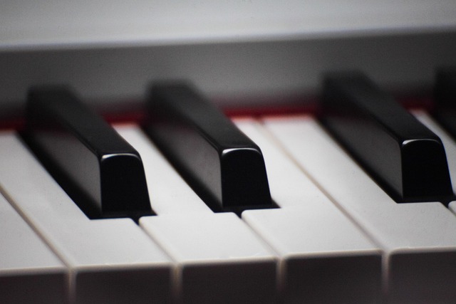 Free Keyboard Piano photo and picture