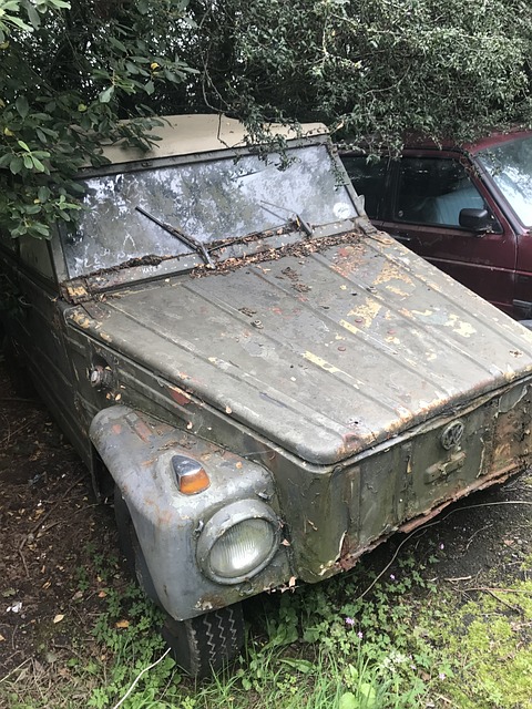 Free Vw Vw Kübelwagen photo and picture