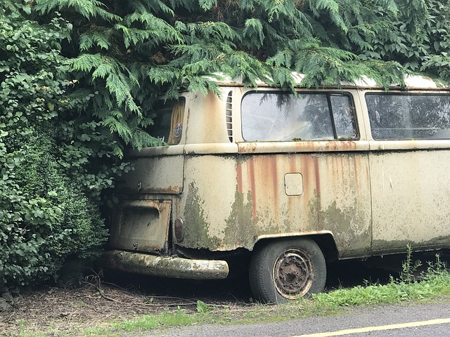 Free Vw Vw Bus photo and picture