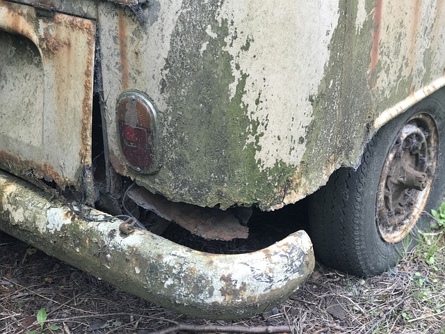Free Vw Vw Bus photo and picture