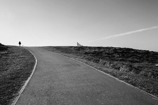 Free Landscape Horizon photo and picture