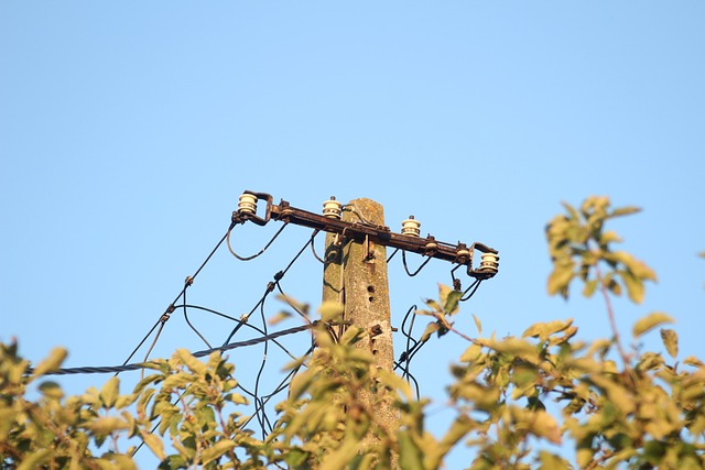 Free Pole Electricity photo and picture