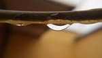 water, drop, cable