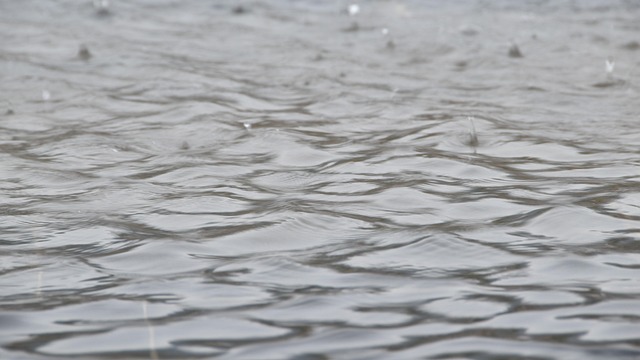 Free Raindrop Water Surface photo and picture