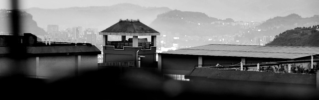 Free Black And White Classical photo and picture