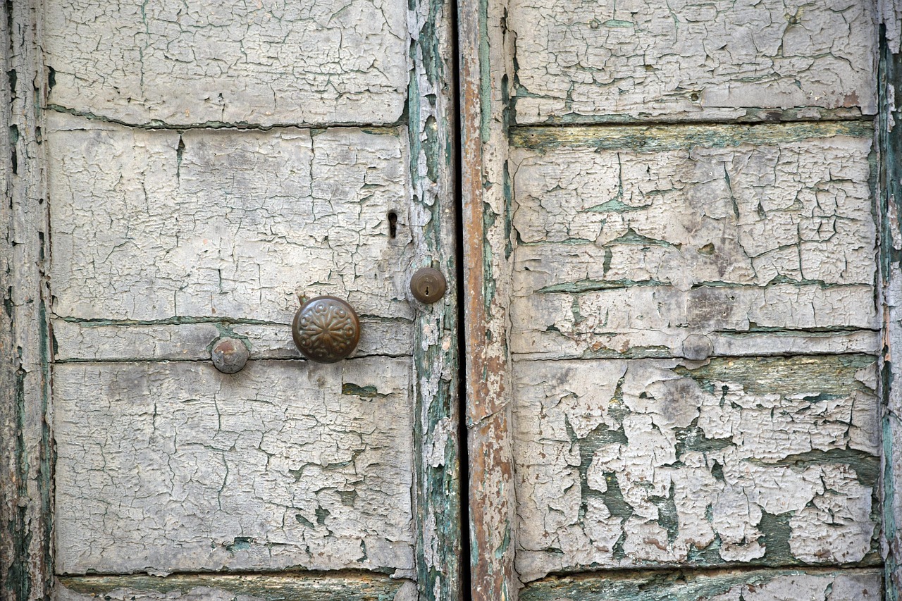 Door - free online jigsaw puzzle photo
