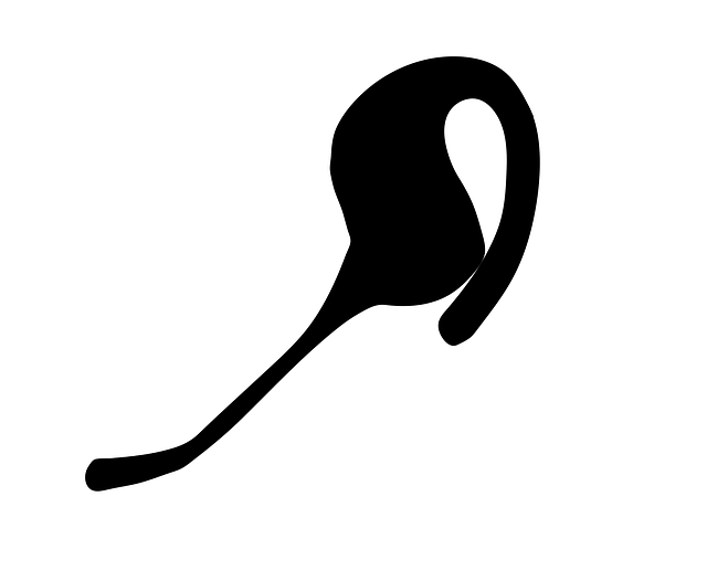 Free headset talk speak vector