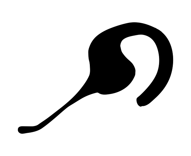 Free headset talk speak vector