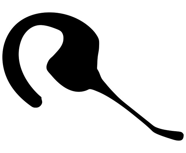 Free headset talk speak vector