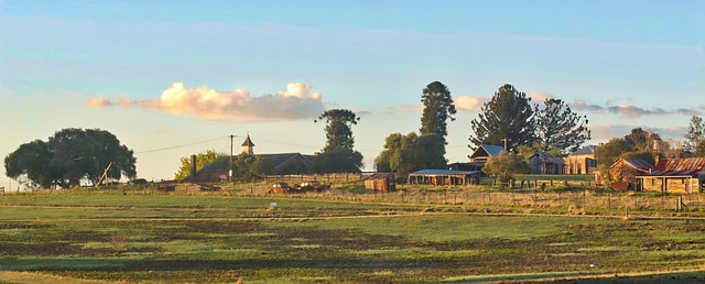 Free Farm Old Cars photo and picture
