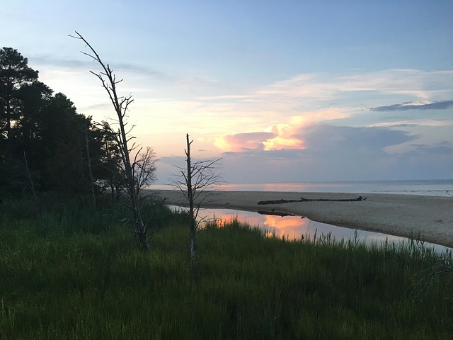 Free Sunset Coast photo and picture