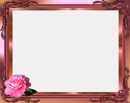 Bild, Rahmen, Design, Pinke Rose