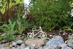 bike, nature, leisure